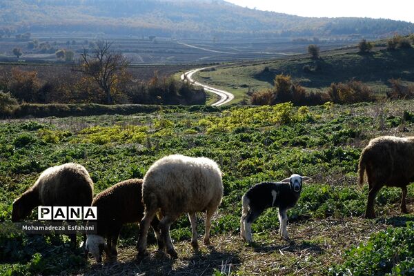 یک روز پاییزی در روستای مَجی