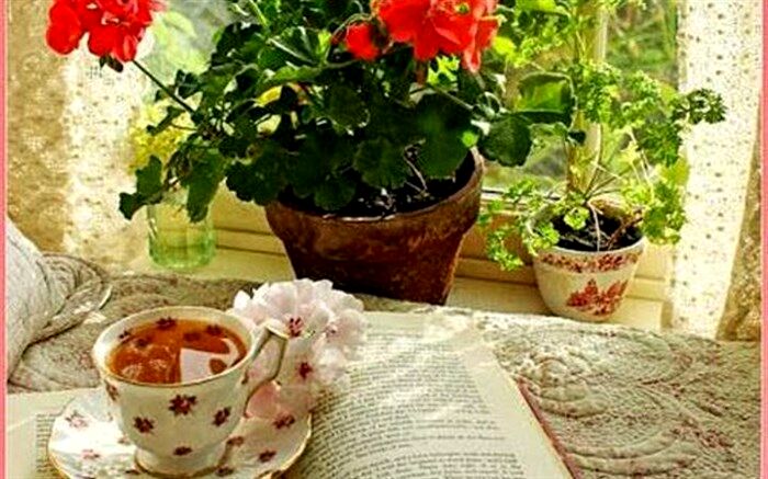 کتابخوانی،فرصت ناب این روزها