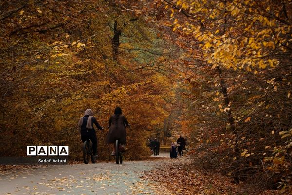 محدودیت‌های کرونایی در گرگان