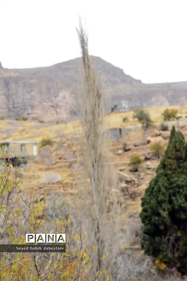 روزهای پایانی پاییز در باغ بیشه شهرستان نی ریز