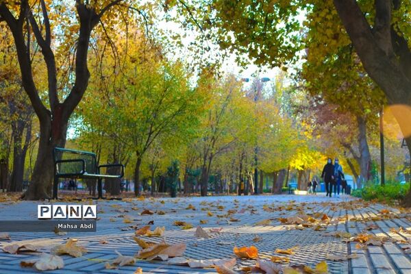 گذر پاییز در پارک شهر شیراز