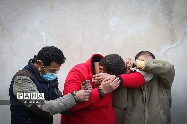 کشفیات طرح امنیت محله محور