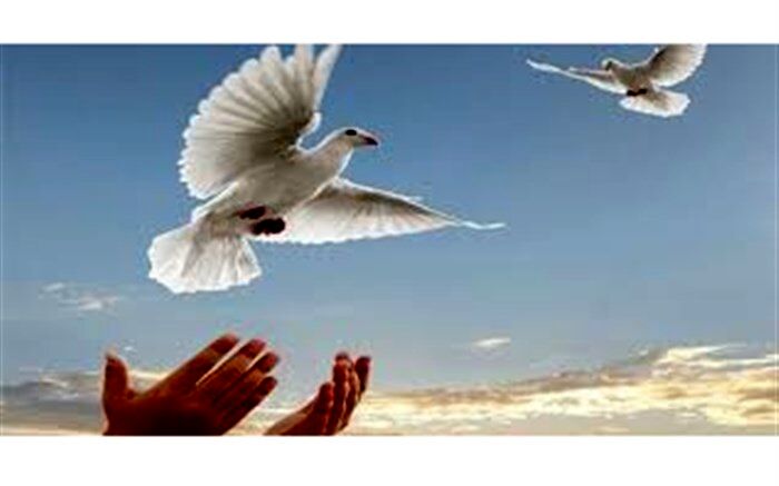 در راستای اجرای طرح پایش و غربالگری زندانیان ۱۳۰ زندانی از زندان آزاد شدند