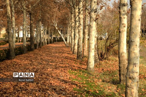 پاییز رنگارنگ تهران