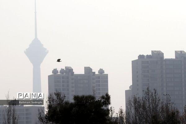 شهری  که در آن نفس می‌کشیم!
