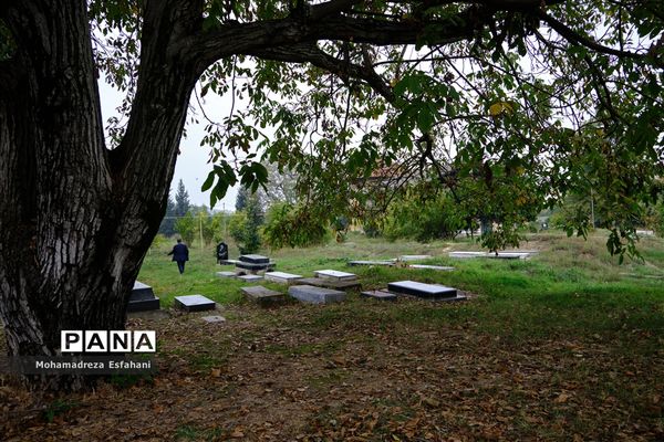 گشت‌وگذاری در روستای داراب‌کلا