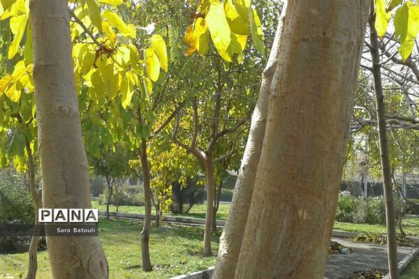 پاییز رنگارنگ تهران-۲