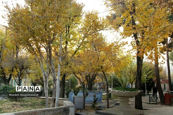 پاییز رنگارنگ تهران-۲