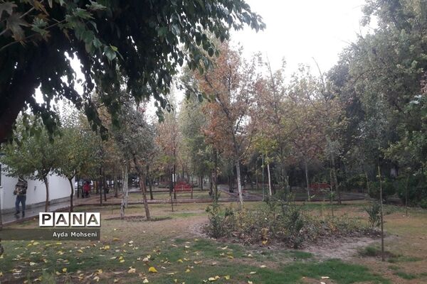 پاییز رنگارنگ تهران-۲
