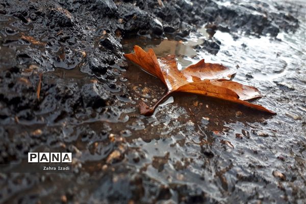 پاییز رنگارنگ تهران-۲