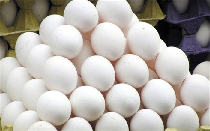 جریمه ۹۹ میلیون تومانی متخلفان صنف مرغ و تخم مرغ
