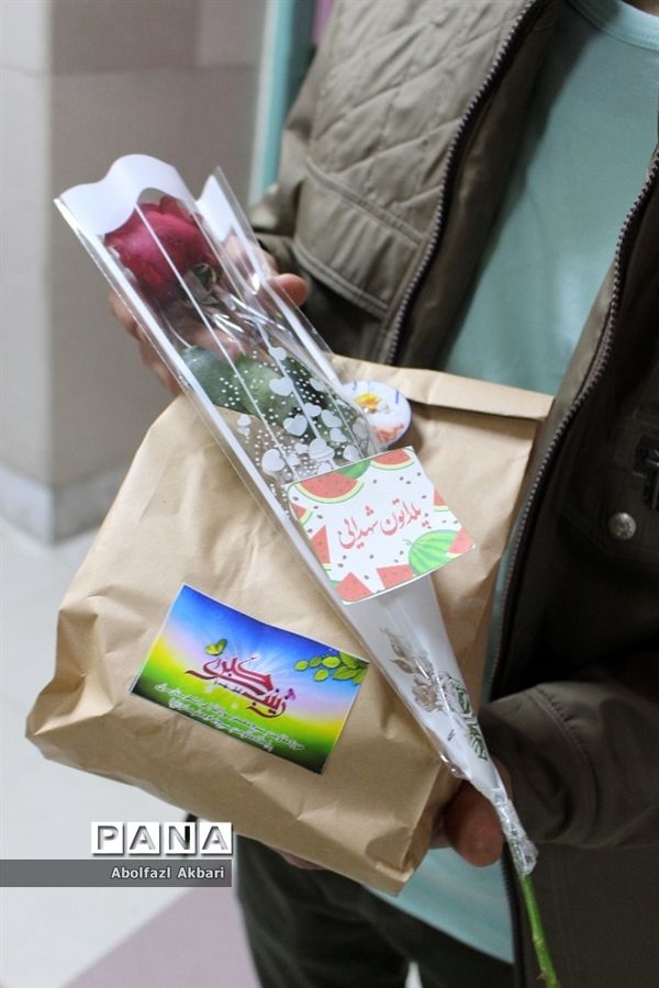 قدردانی از پرستاران و پزشکان بیمارستان‌های شهر ساری