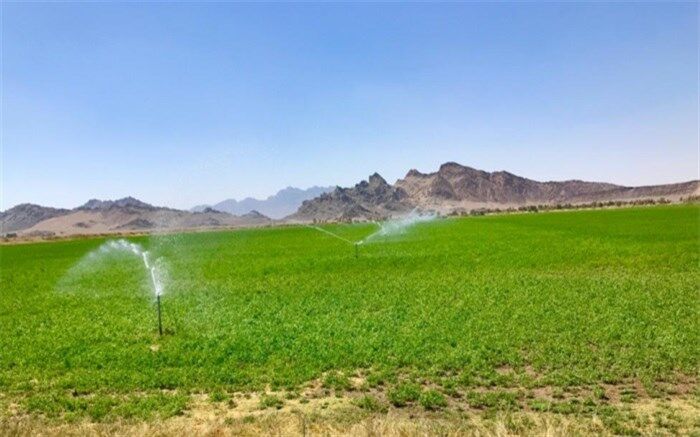 اطلاعات مکانی بیش از ۵٧ درصد اراضی قابل کشت سیستان و بلوچستان ترسیم شد