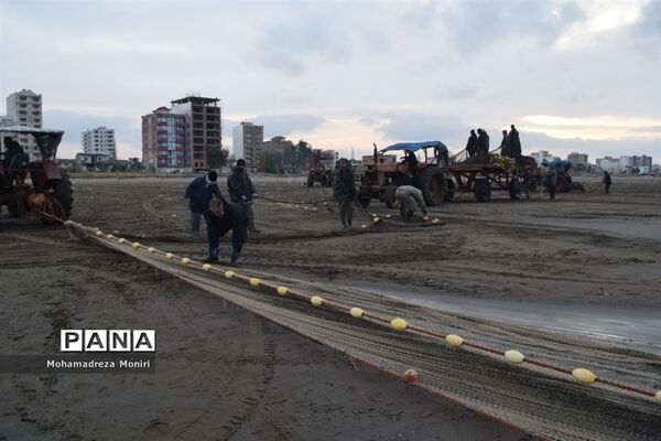 تورهای خالی از ماهی ماهیگیران فریدونکنار