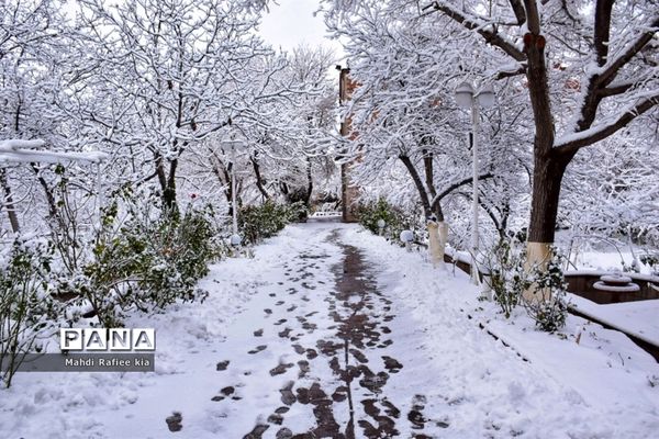 تبریز سفید پوش شد