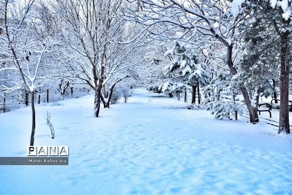 تبریز سفید پوش شد