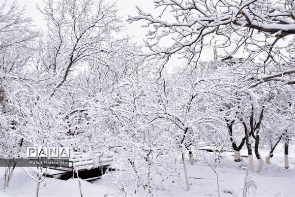 تبریز سفید پوش شد