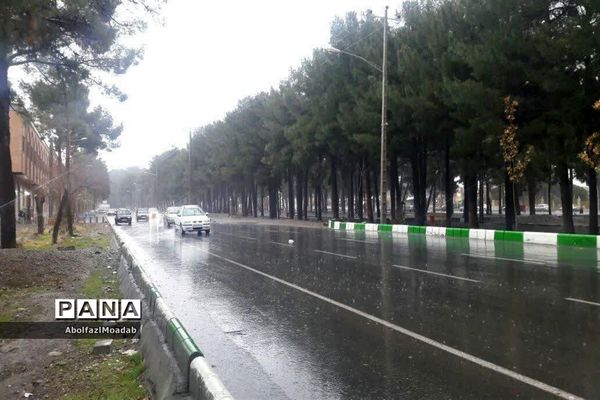 بارش باران شدید در کاشمر