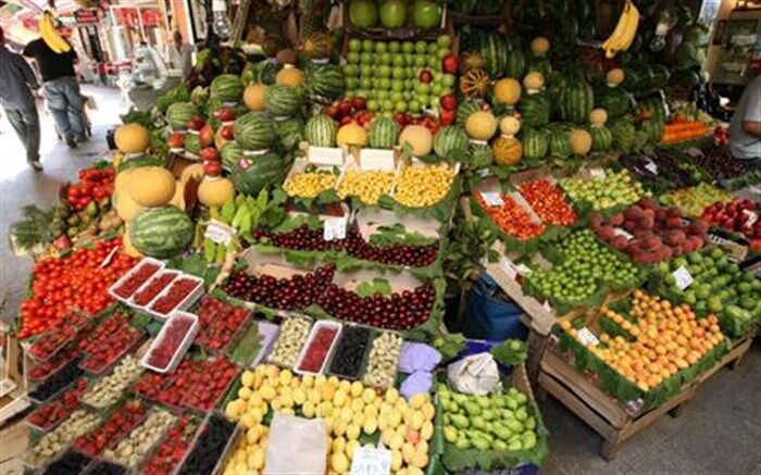 آمادگی کشاورزان برای ذخیره‌سازی مرکبات شب عید