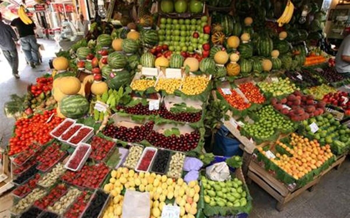 آمادگی کشاورزان برای ذخیره‌سازی مرکبات شب عید