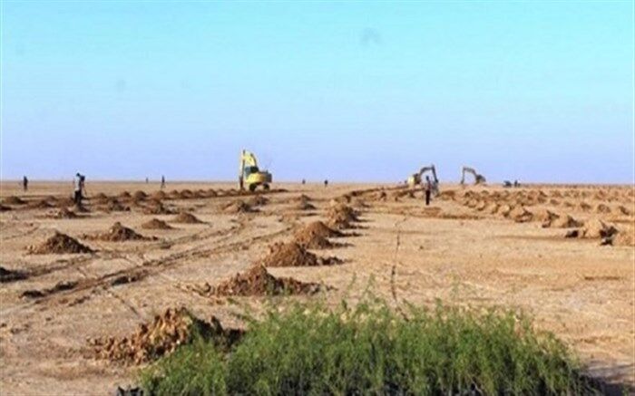 12هزار و 500 هکتار عملیات بیابان زدایی و احیای مراتع در اخترآباد ملارد