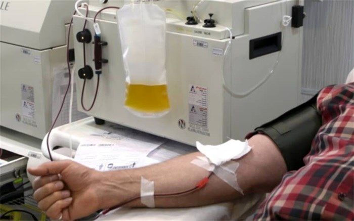 313 بهبودیافته کرونا در سیستان و بلوچستان پلاسما اهدا کردند