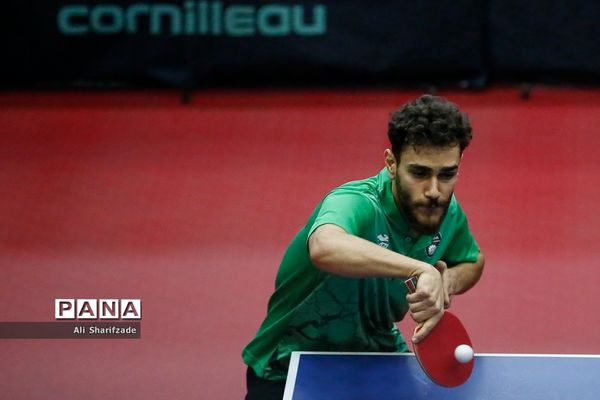 لیگ برتر تنیس روی میز