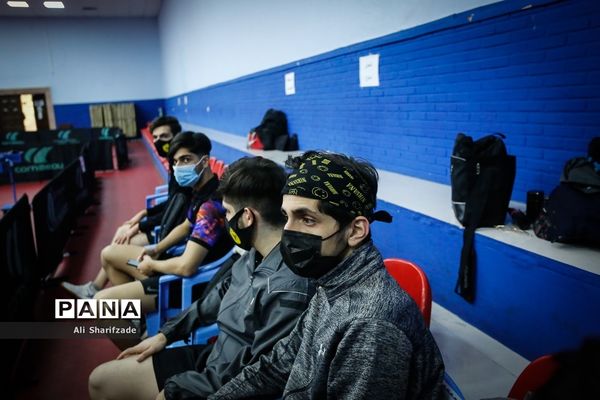 لیگ برتر تنیس روی میز