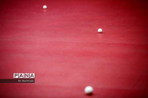 لیگ برتر تنیس روی میز