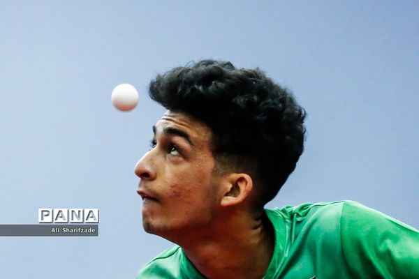 لیگ برتر تنیس روی میز