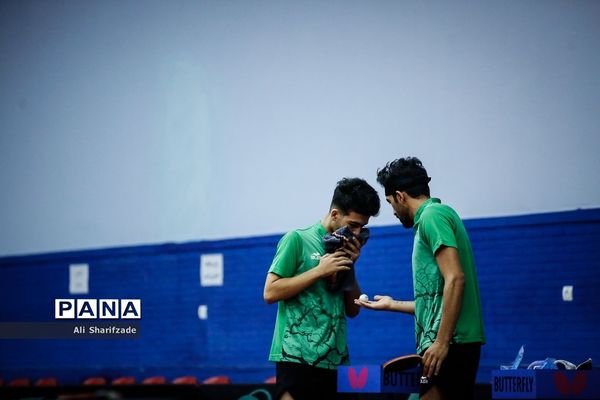 لیگ برتر تنیس روی میز