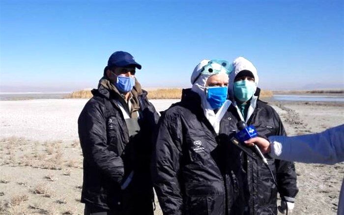 مهار کامل آنفلوانزای فوق حاد پرندگان در کشور