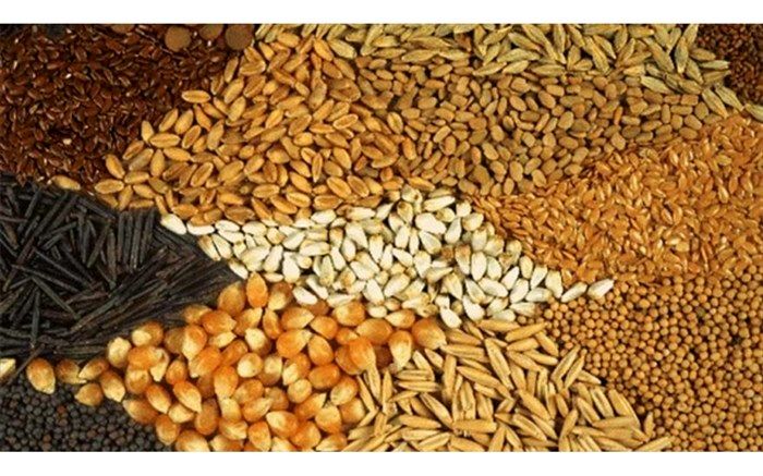 کاهش وزنی و ارزشی واردات نهاده های دامی