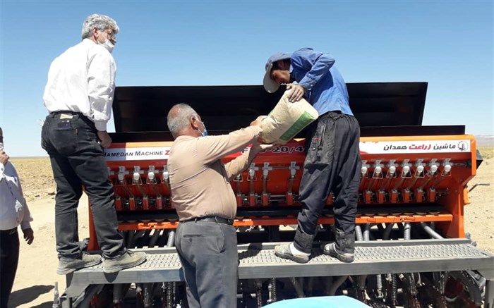 پایان عملیات کاشت غلات در شهرستان نی‌ریز 