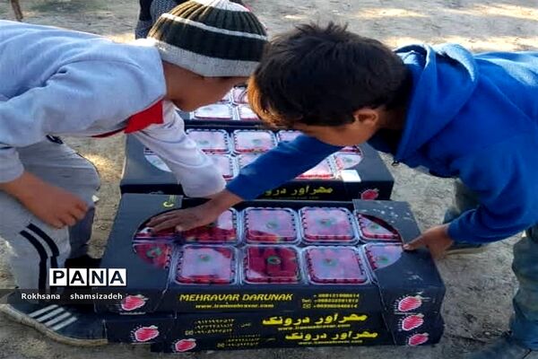 مزرعه پرورش توت فرنگی و گوجه فرنگی در  روستای درونک شهرستان امیدیه