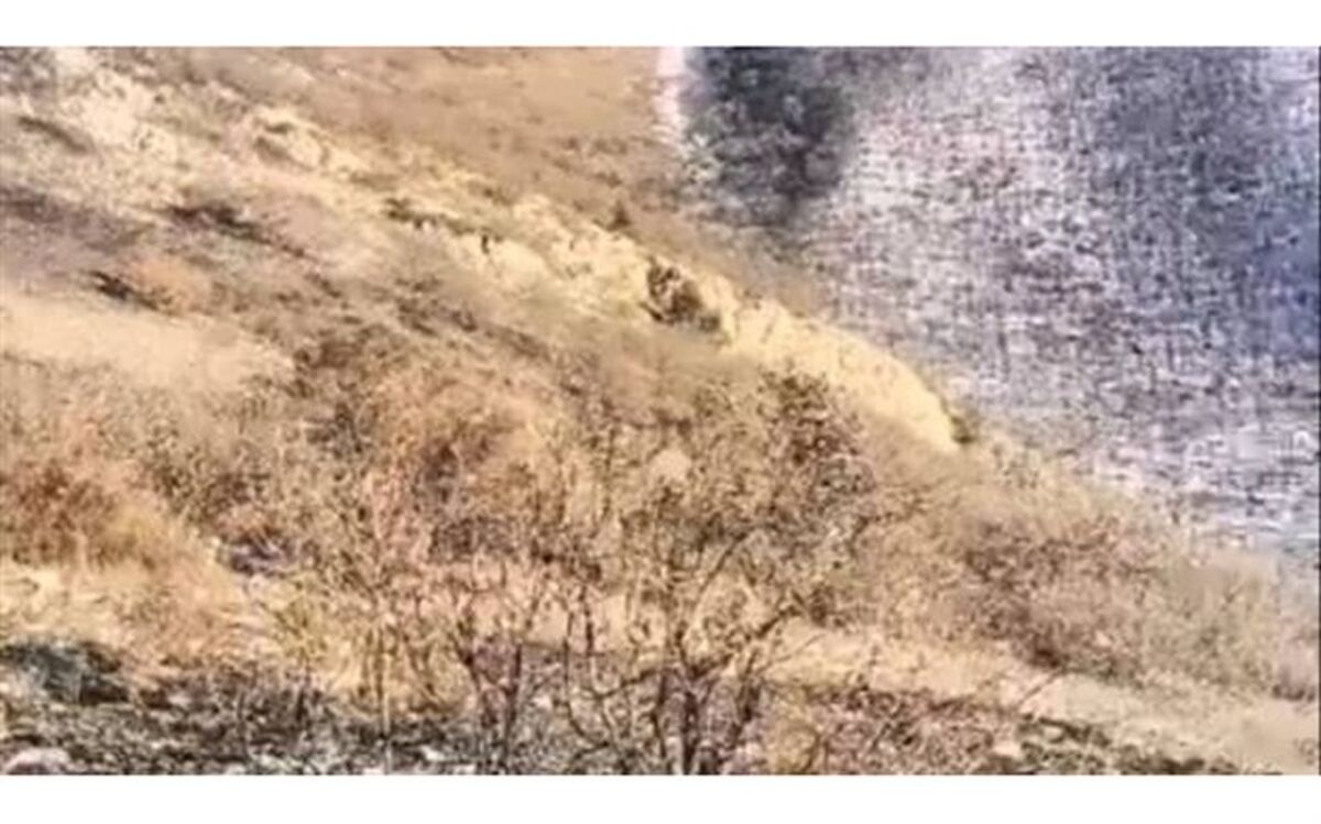 مهار آتش سوزی در منطقه کوهستانی کلیبر