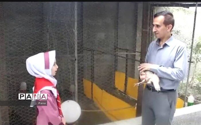 دانش‌آموز خبرنگار گلوگاهی به مرحله نهایی جشنواره تابستان شاد راه یافت
