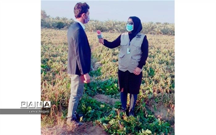 خسارت 150 میلیارد تومانی سرما به کشاورزان عنبرآبادی