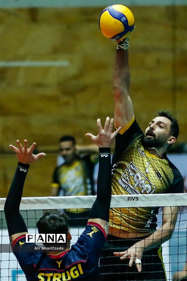 لیگ برتر والیبال