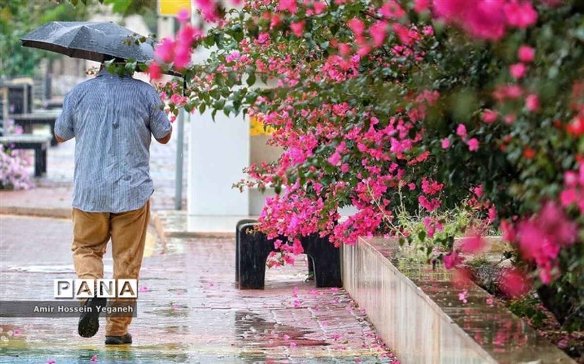 مازندران از امروز بارانی می‌شود