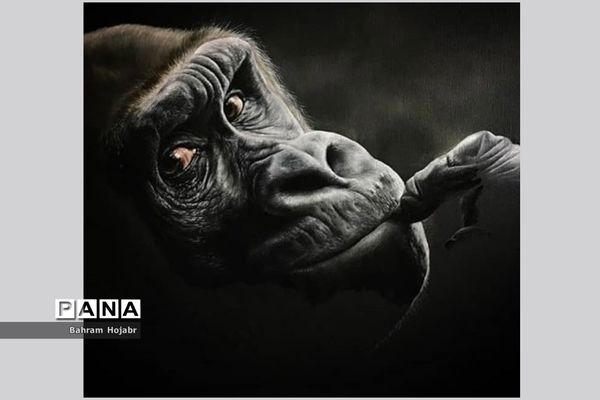 نمایشگاه مجازی آثار نقاشی و طراحی بهرام هژبر، معلم هنرمند اهل گله‌دار