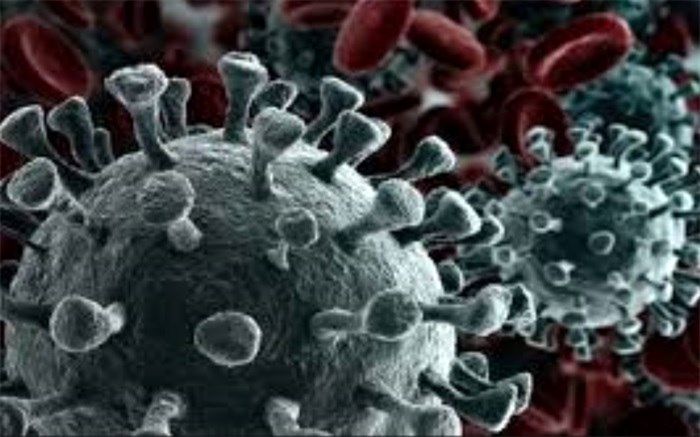 ٣١٩ بیمار در بخش‌های کرونایی استان بوشهر بستری هستند