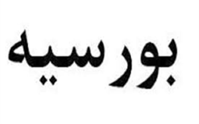 وزارت علوم مکلف به حل مشکلات بورسیه‌ها شد