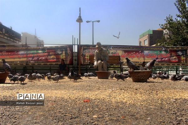 فضا سازی شهر تبریز برای ماه محرم