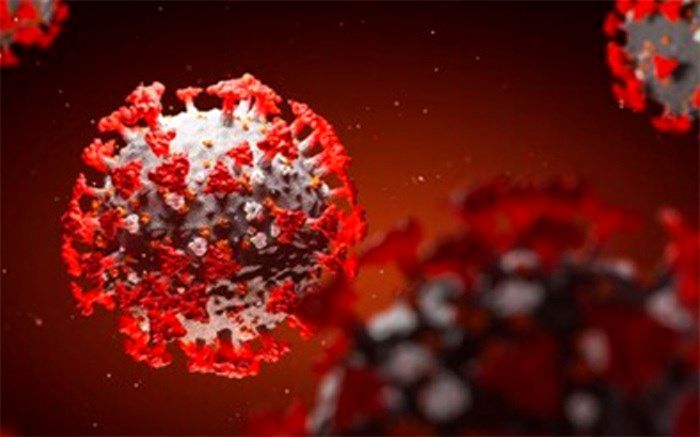 آخرین آمارهای پاندمیِ کرونا؛ تعداد مبتلایان در جهان  به بیش از ۲۲.۸ میلیون رسید
