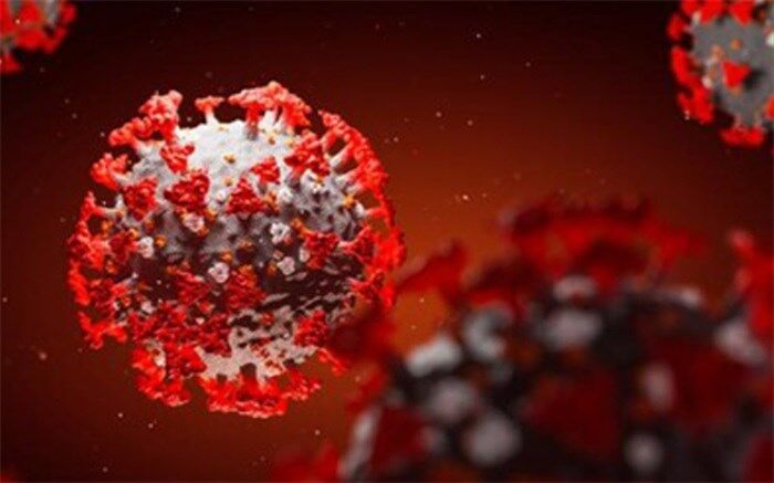 آخرین آمارهای پاندمیِ کرونا؛ تعداد مبتلایان در جهان  به بیش از ۲۲.۸ میلیون رسید