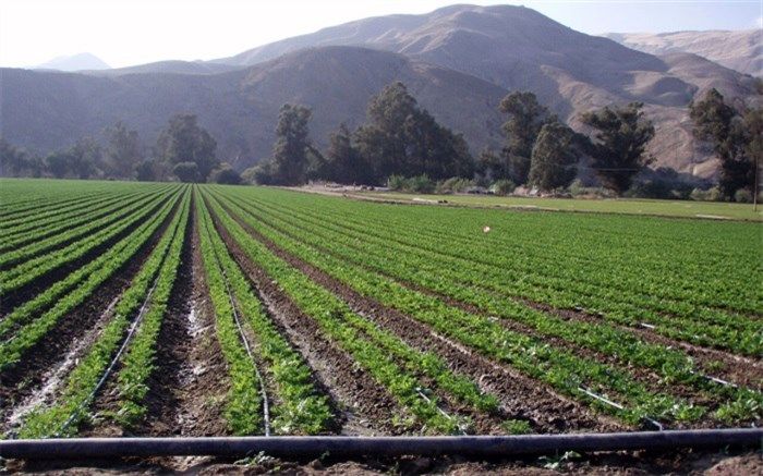 داراب، پیشرو در اجرای سامانه‌های نوین آبیاری