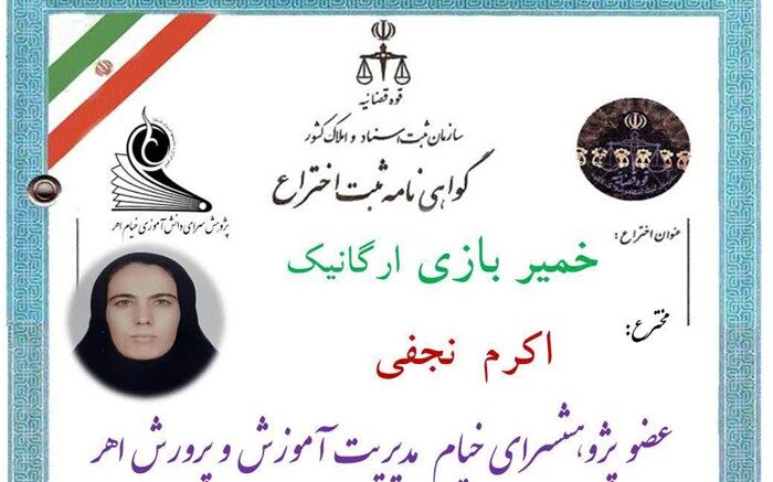 ثبت اختراع (خمیر بازی ارگانیک) توسط عضو پژوهشسرای خیام در اهر