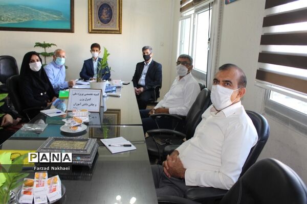 ویدئو کنفرانس، کمیته تخصصی پروژه ملی کنترل وزن و چاقی دانش آموزان