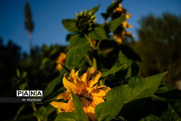 سفر به منطقه کوهستانی  البرز مرکزی